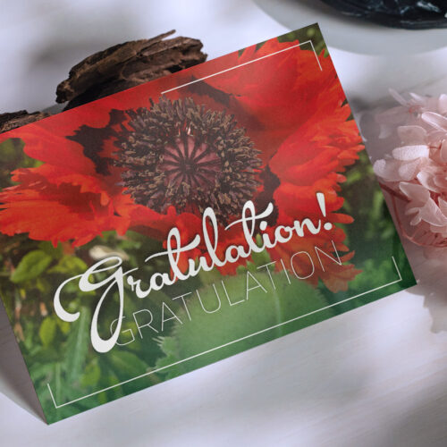 Grußkarten Klatschmohn
